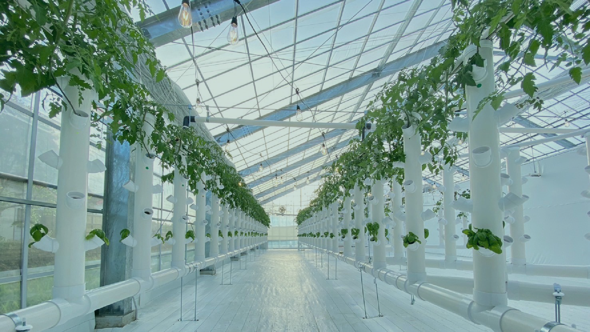 main-visual